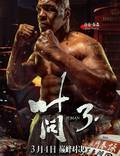 Постер из фильма "Ип Ман 3D" - 1