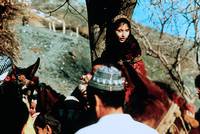 Кадр Время пьяных лошадей