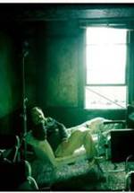 Дэвид Дэниэл фото