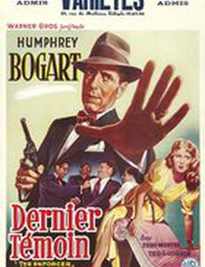 Насаждающий закон