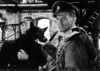 Кадр Король Шумавы