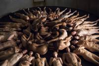 Кадр Ганнибал