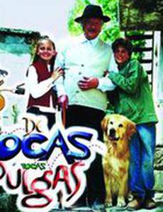 Немного блошек