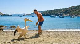 Кадр из фильма "Пеликан" - 2