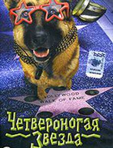 Четвероногая звезда
