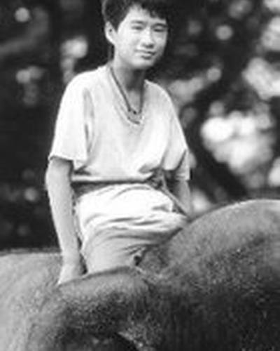 Дин Зин Ле фото