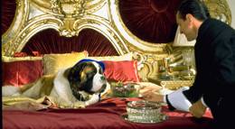 Кадр из фильма "Бетховен 4 (видео)" - 1