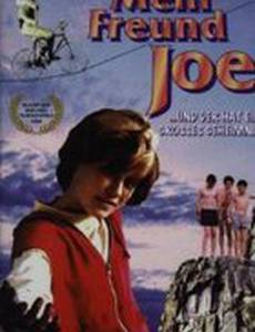 Мой друг Джо