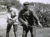 Кадр Комедия давно минувших дней