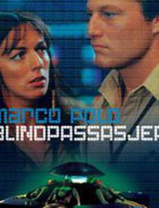 Безбилетный пассажир (мини-сериал)