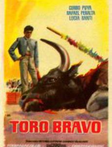 Toro bravo