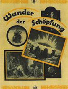 Наши небесные тела