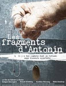 Фрагменты Антонина