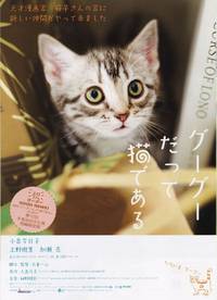 Постер Кот по имени Гу-Гу