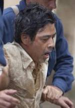 Джоэль Торре фото