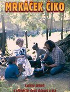 Моргун Чико