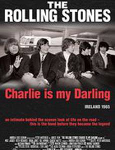 The Rolling Stones: Чарли — моя лапочка