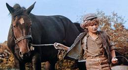 Кадр из фильма "Черный красавчик" - 2