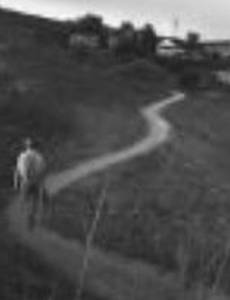 Chavez Ravine: A Los Angeles Story