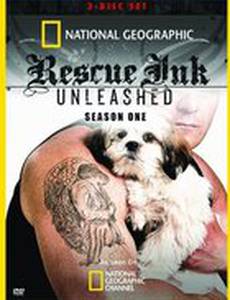 Байкеры – защитники животных