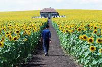 Кадр Свет вокруг