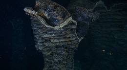 Кадр из фильма "Вулканы в морских глубинах" - 1