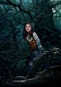 Постер Чем дальше в лес... (В темном-темном лесу)