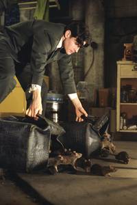 Кадр Уиллард