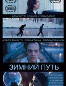 Зимний путь