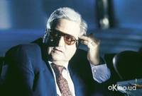 Кадр 29 пальм