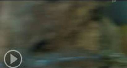 Телевизионный трейлер