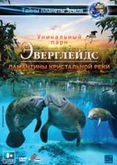 Эверглейдс 3D: Ламантины Кристальной реки (видео)