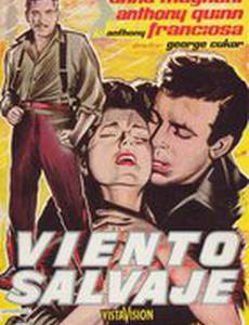 Дикий ветер