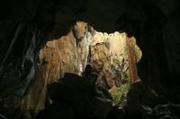 Кадр Дядюшка Бунми, который помнит свои прошлые жизни