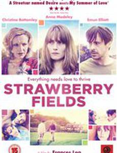 Земляничные поля