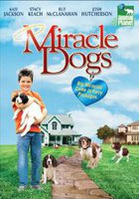 Miracle Dogs