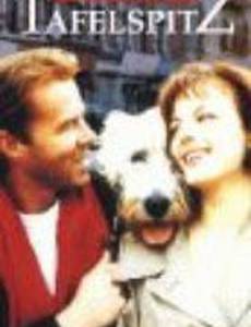 Вкус специй