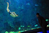 Кадр Рай океана