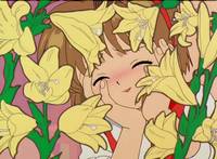 Кадр Сакура – собирательница карт