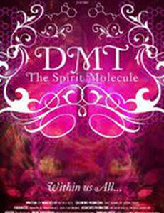 DMT: The Spirit Molecule