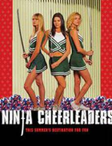 Ниндзя из группы поддержки