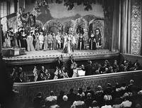 Кадр Красные орхидеи