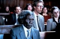 Кадр Там, где мечтают зеленые муравьи