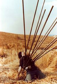 Кадр Ночь Святого Лаврентия