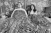 Кадр Темная лошадка