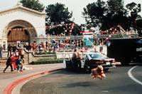 Кадр Главная собака