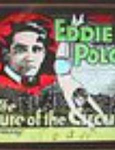 The Lure of the Circus