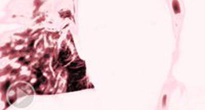 Русский промо-ролик