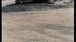 Кадр из фильма "Рай" - 1