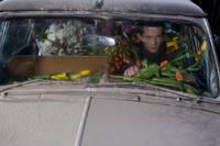 Кадр Черная молния